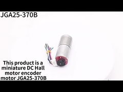 25mm DC Gear Motor