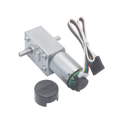 Micro DC Electric Double Shaft Worm Geared Motor 6V 12V 24V 6-150RPM