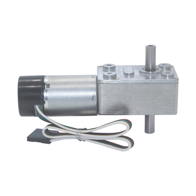 Micro DC Electric Double Shaft Worm Geared Motor 6V 12V 24V 6-150RPM