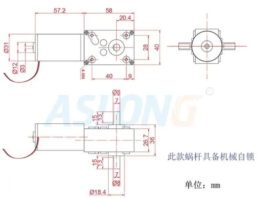 Self locking dual bearing reduction motor A58SW31ZYS micro dc gear motor dual axis 12v 24v dc worm gear motor